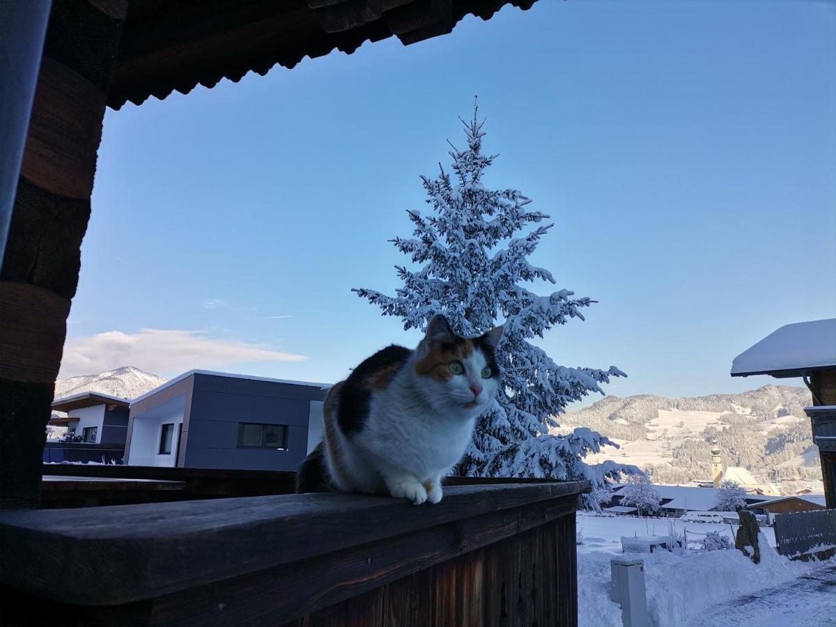 Ferienhaus Weberhof ライト・イム・アルプバッハタール エクステリア 写真